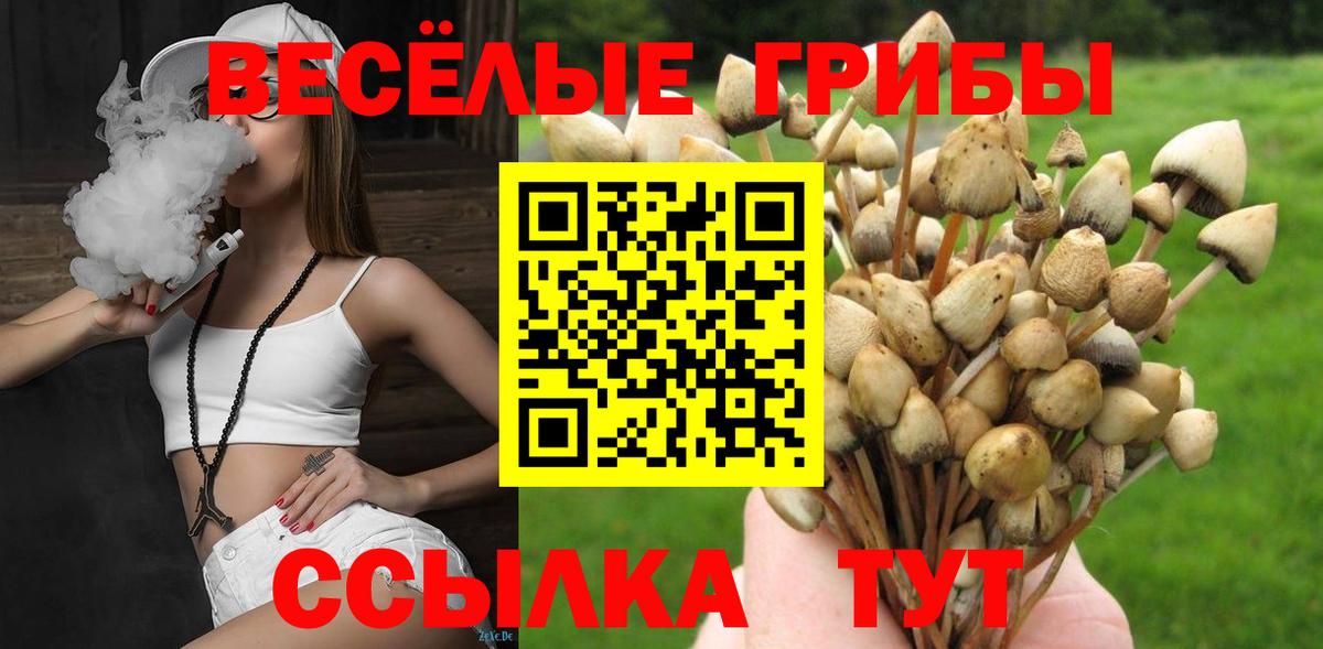Галлюциногенные грибы Magic Shrooms Татарск