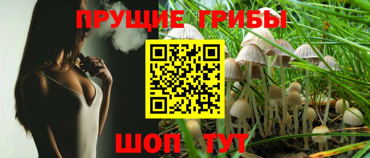 Татарск  Галлюциногенные грибы Cubensis  Вход с VPN 